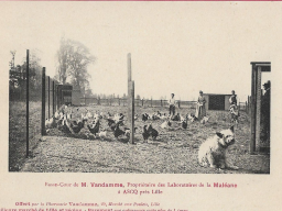 71 ascq - basse cour de mme vandamme - labo de la maleane 01
